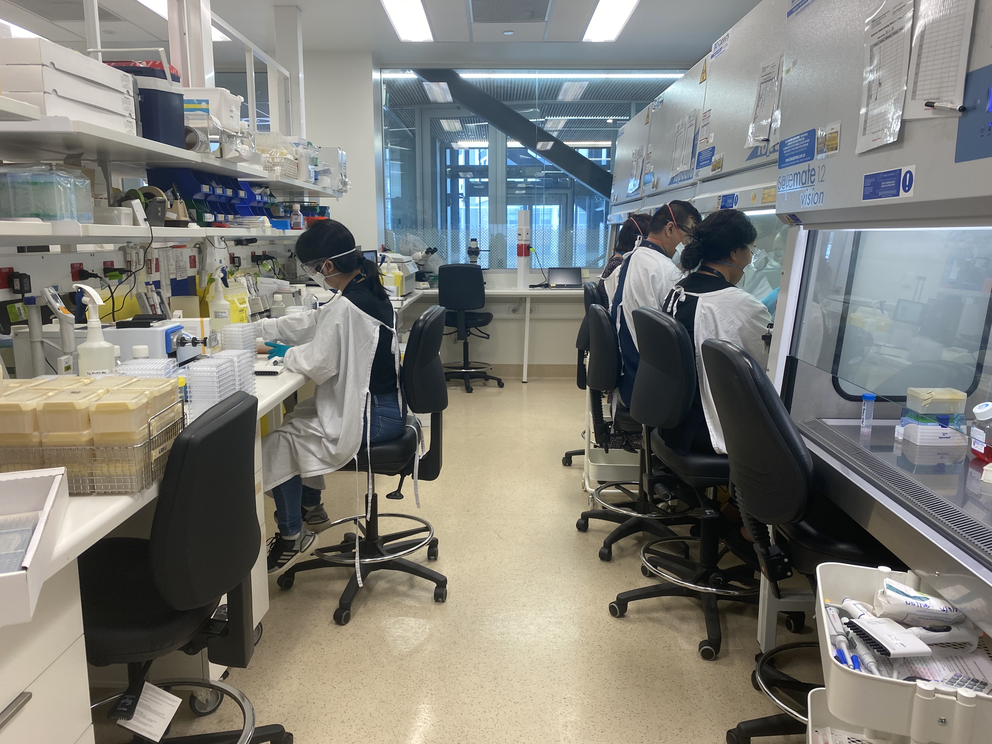 Generic lab