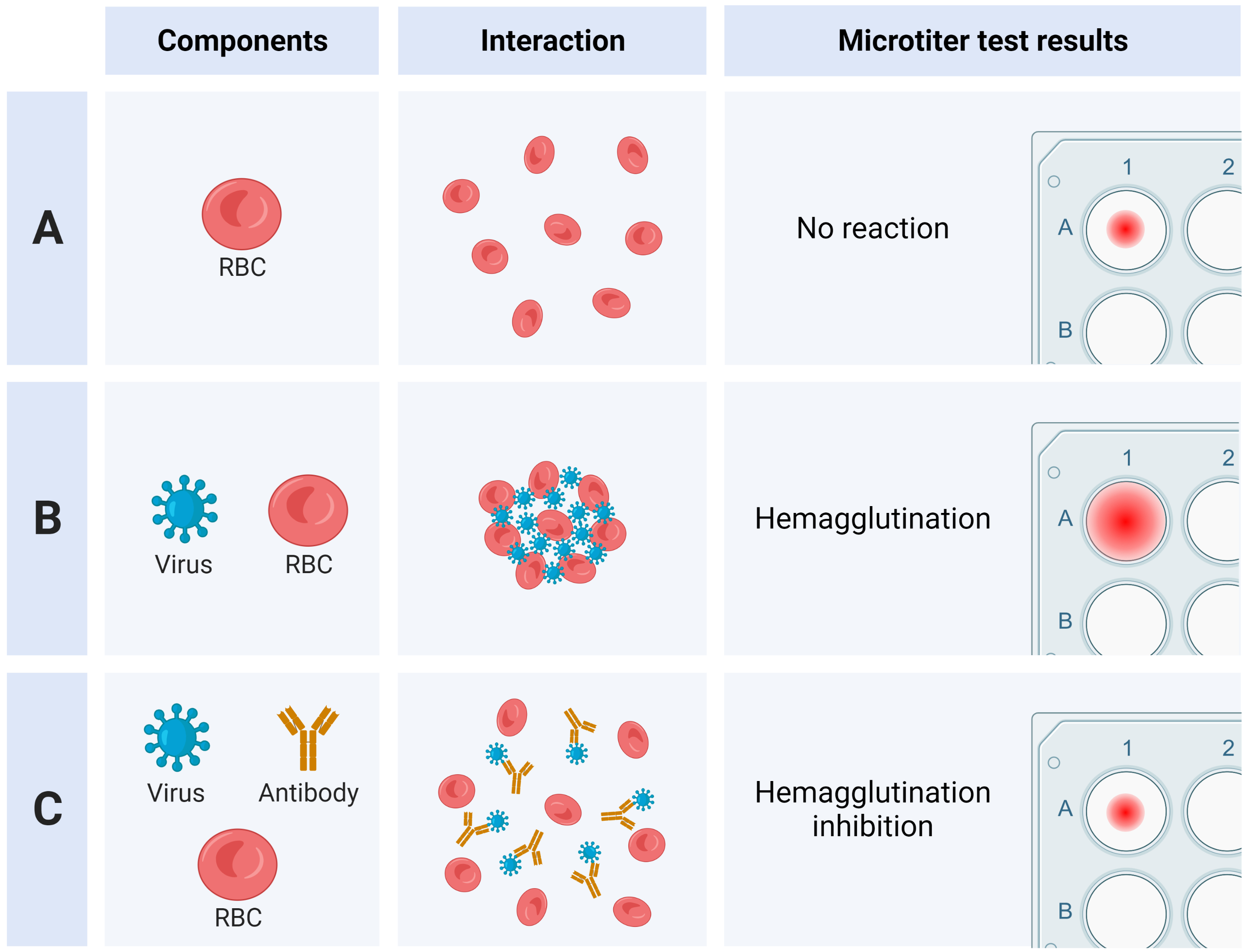 HI Assay overview Biorender