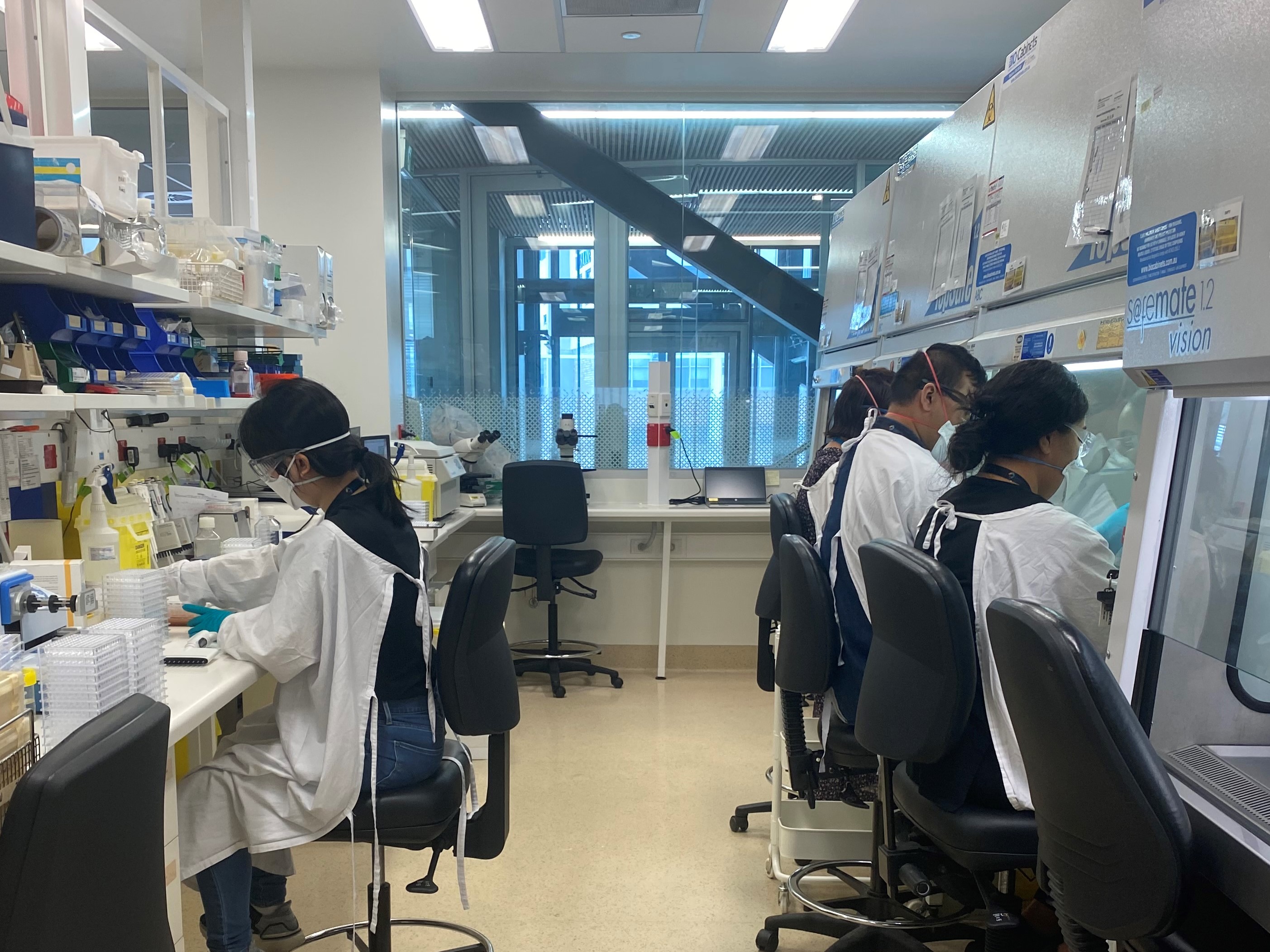 general lab 2022