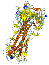 Haemagglutinin structure