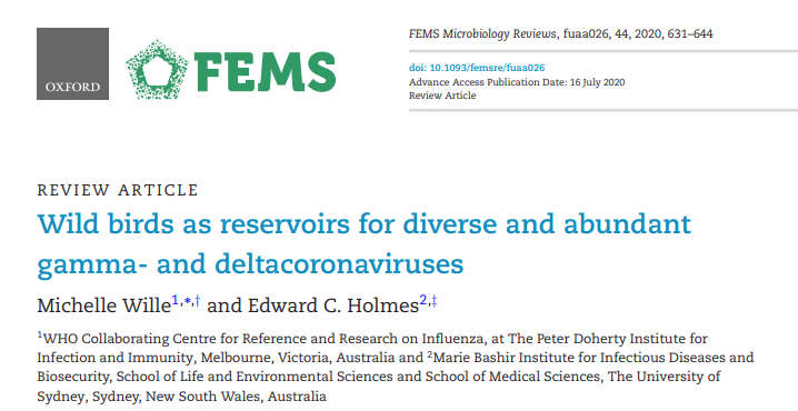 FEMS article screenshot