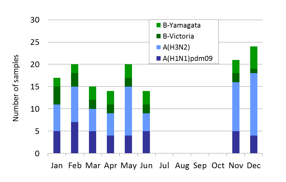 Singapore subtype plot