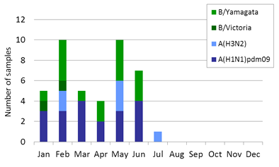 Malaysia subtype plot