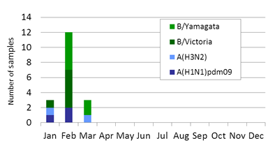 Mongolia subtype plot