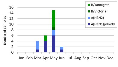 Thailand subtype plot