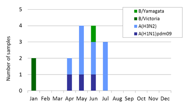 South Africa subtype plot