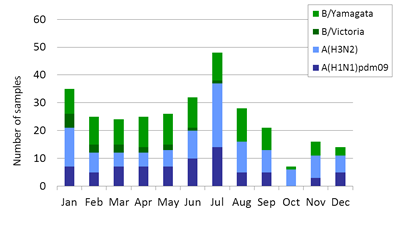 Singapore subtype plot