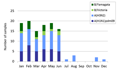 Singapore subtype plot