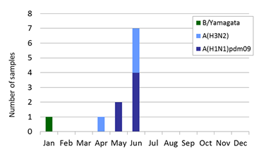 South Africa subtype plot