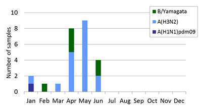 Papua New Guinea subtype plot