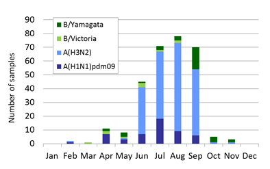 New Zealand subtype plot