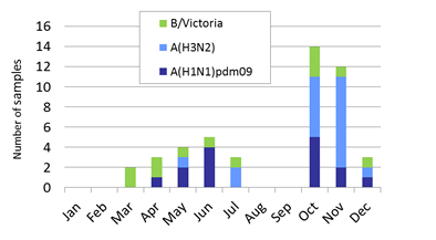 Thailand subtype plot