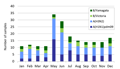 Singapore subtype plot