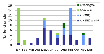 Cambodia subtype plot