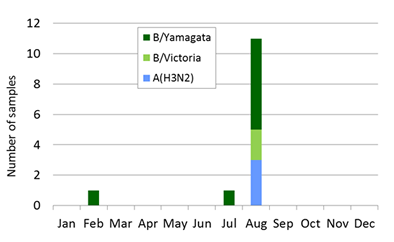 New Caledonia subtype plot