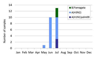 South Africa subtype plot
